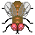 brown fly