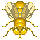 gold fly