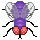 purple fly